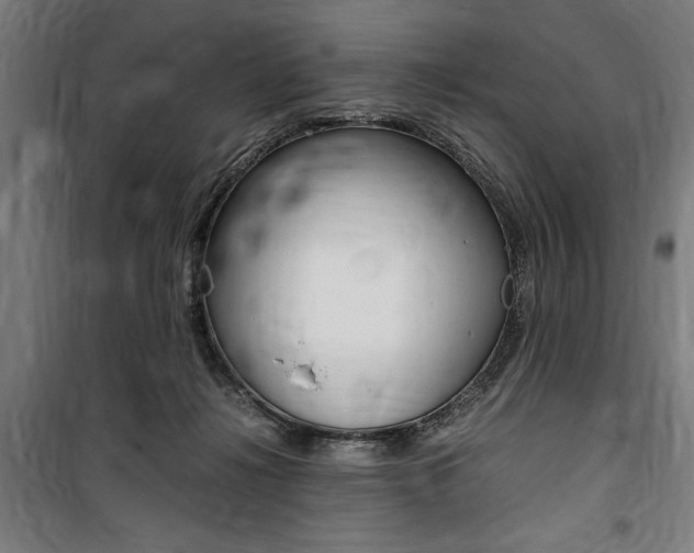 X0000100860268200806200845