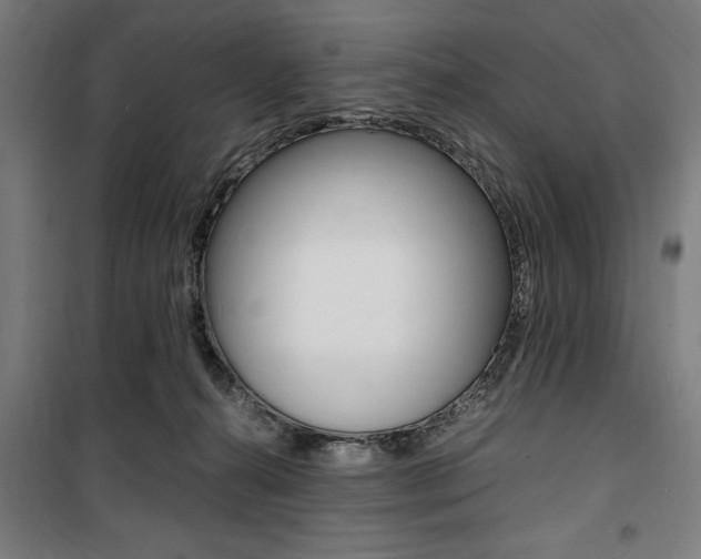 X0000100860272200806200845