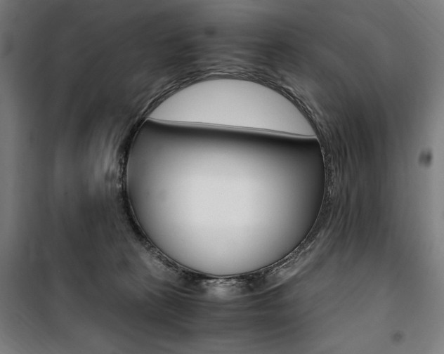 X0000100860273200806200845