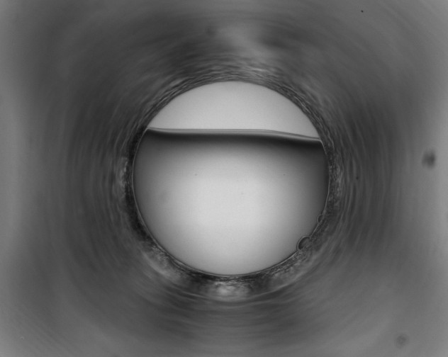 X0000100860275200806200845