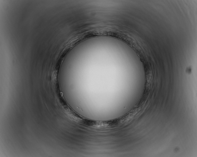 X0000100860278200806200845