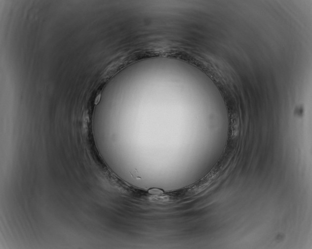 X0000100860279200806200845