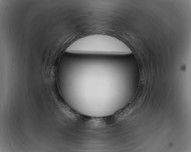 X0000100860280200806200845