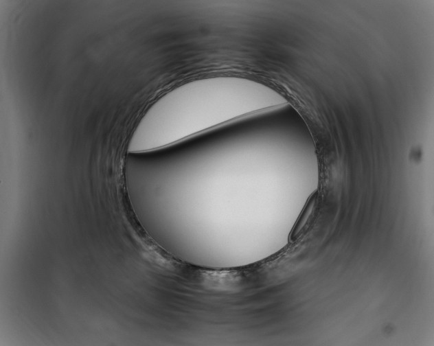 X0000100860281200806200845