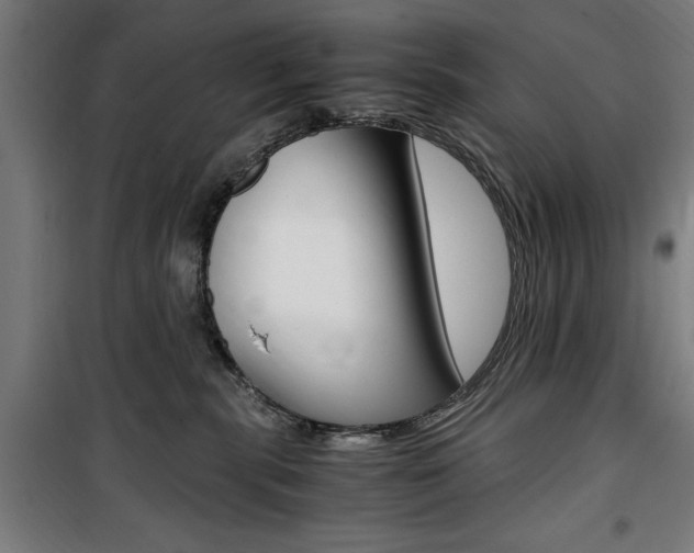 X0000100860283200806200846