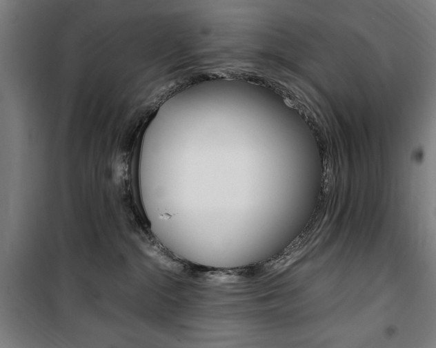 X0000100860284200806200846