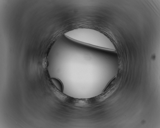 X0000100860285200806200846