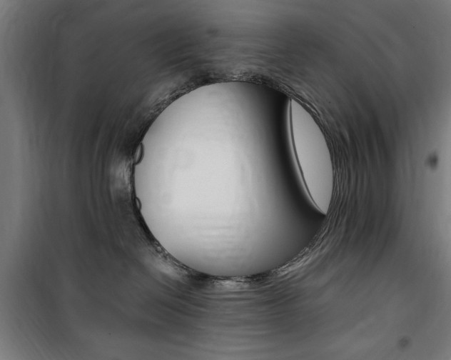 X0000100860286200806200846