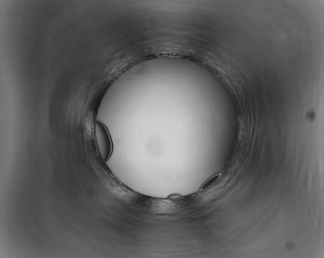 X0000100860287200806200846