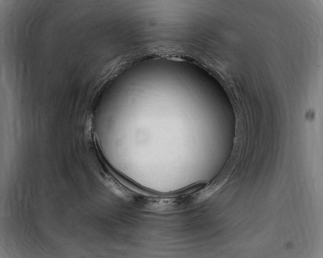 X0000100860288200806200846