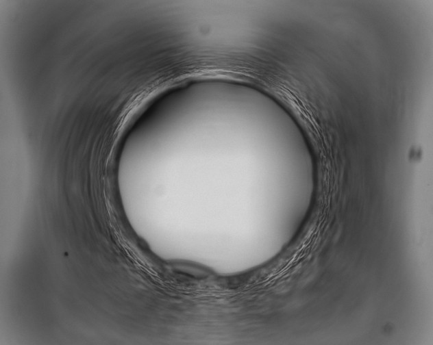 X0000100860289200806200845