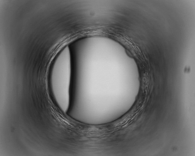 X0000100860290200806200845