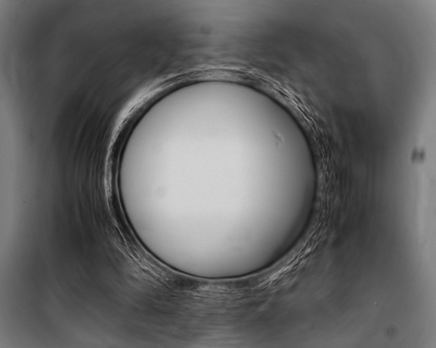 X0000100860294200806200845