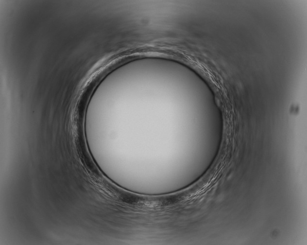 X0000100860295200806200845