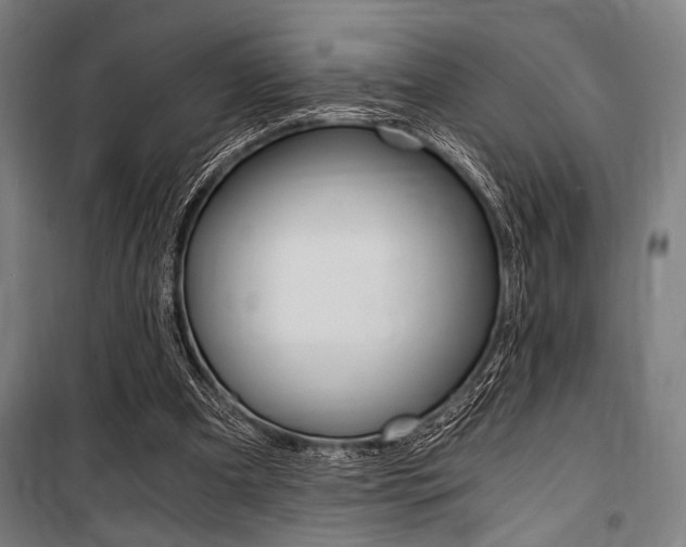 X0000100860297200806200845