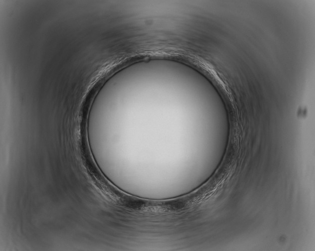 X0000100860299200806200845