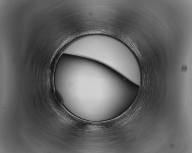 X0000100860300200806200845