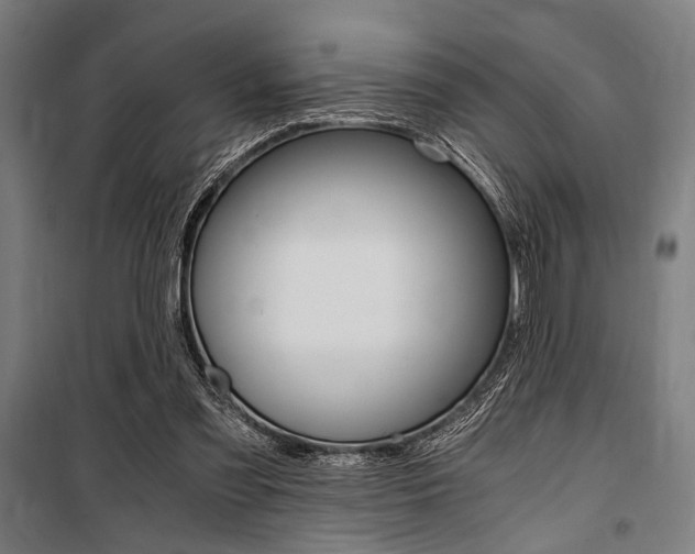 X0000100860301200806200845