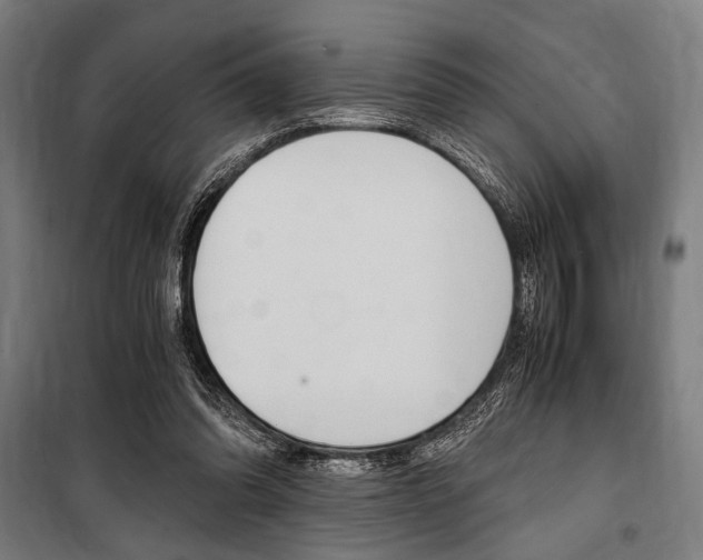 X0000100860302200806200845