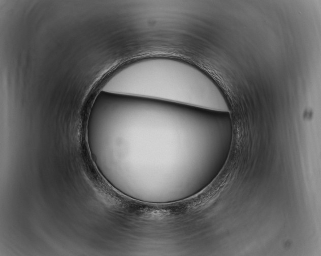 X0000100860304200806200845