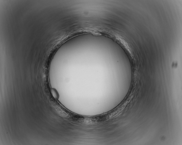 X0000100860305200806200845