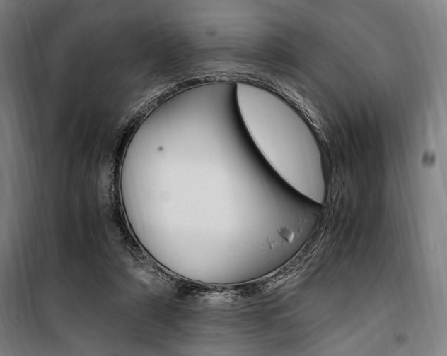 X0000100860306200806200845