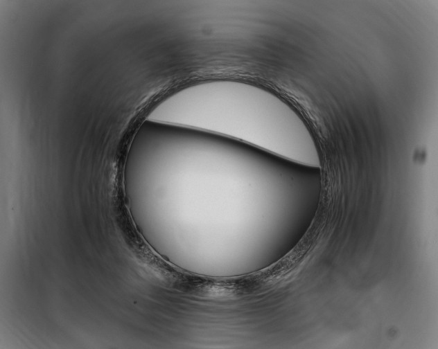 X0000100860308200806200845