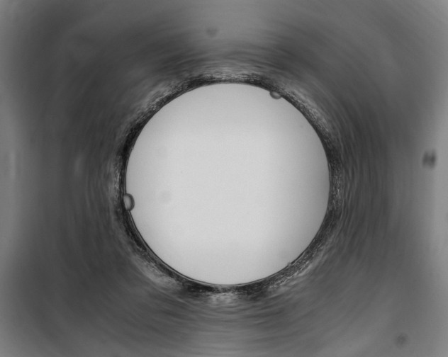 X0000100860309200806200845