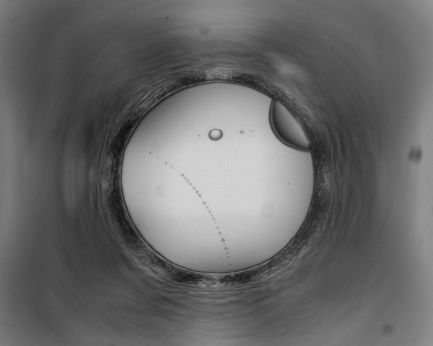 X0000100860311200806200845