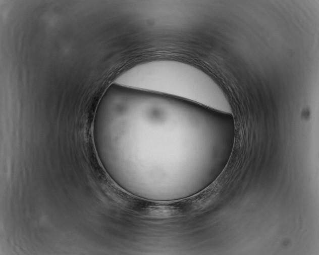 X0000100860316200806200845