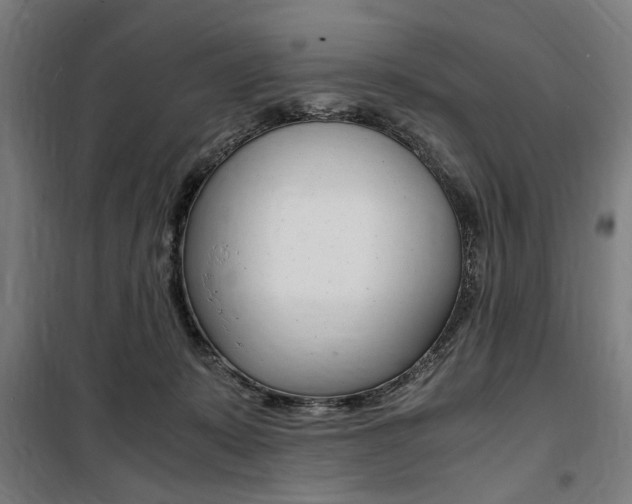X0000100860319200806200844