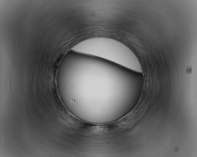 X0000100860320200806200844