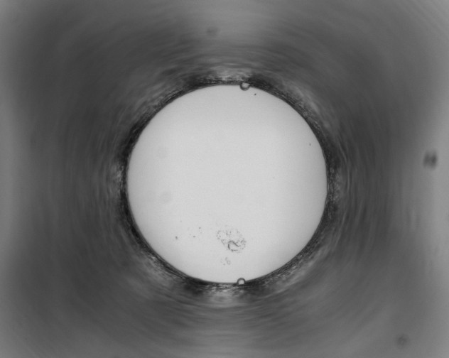 X0000100860321200806200844