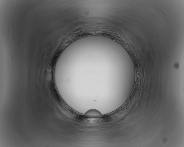 X0000100860323200806200844