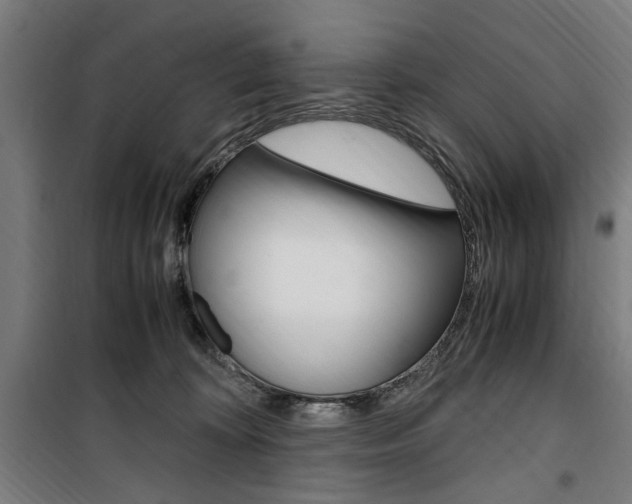 X0000100860324200806200844