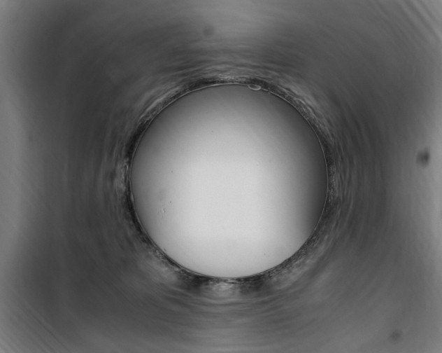 X0000100860325200806200844