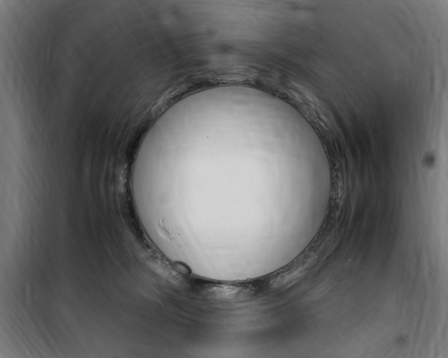 X0000100860326200806200844