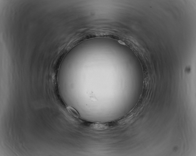 X0000100860327200806200844