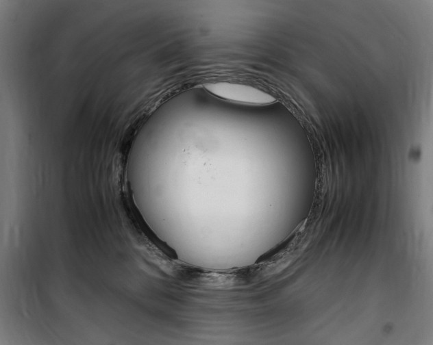 X0000100860328200806200844