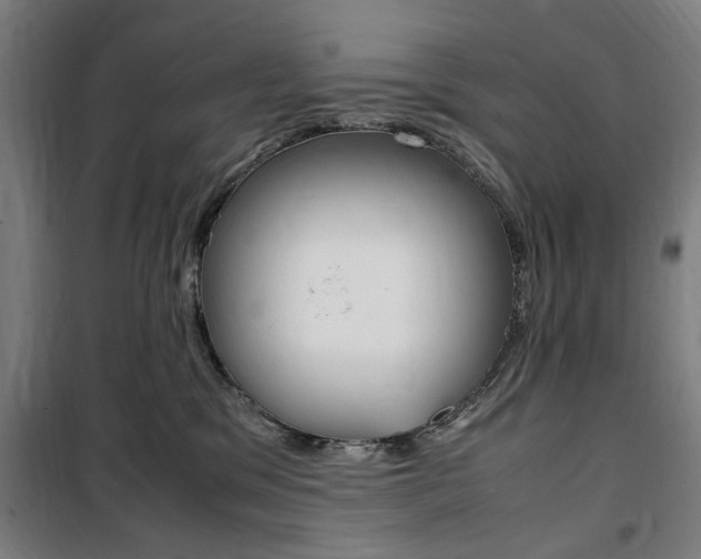 X0000100860329200806200844