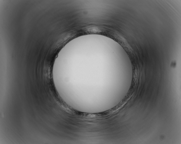 X0000100860330200806200844