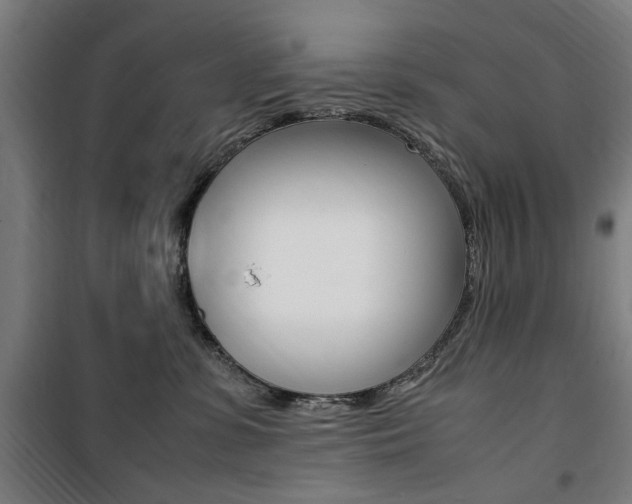 X0000100860331200806200844