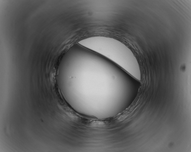 X0000100860332200806200844