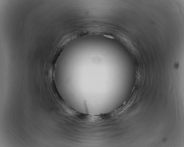 X0000100860333200806200844