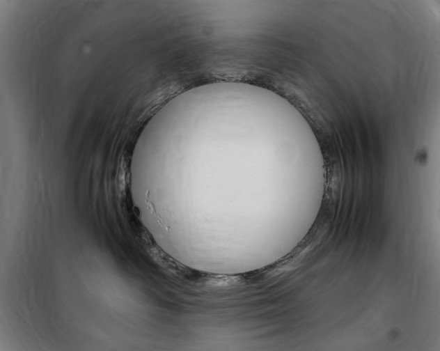 X0000100860334200806200844