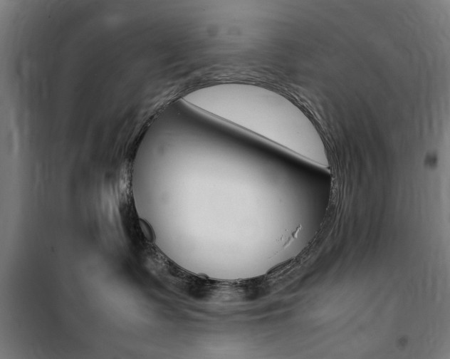 X0000100860335200806200844