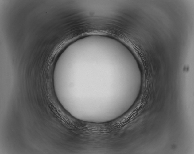 X0000100860337200806200843