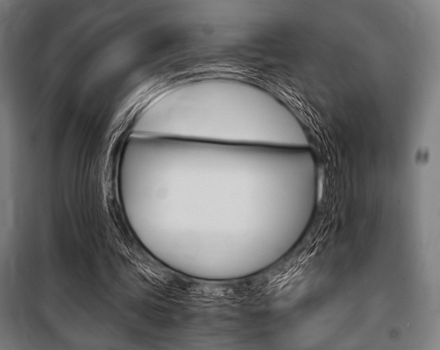 X0000100860339200806200843
