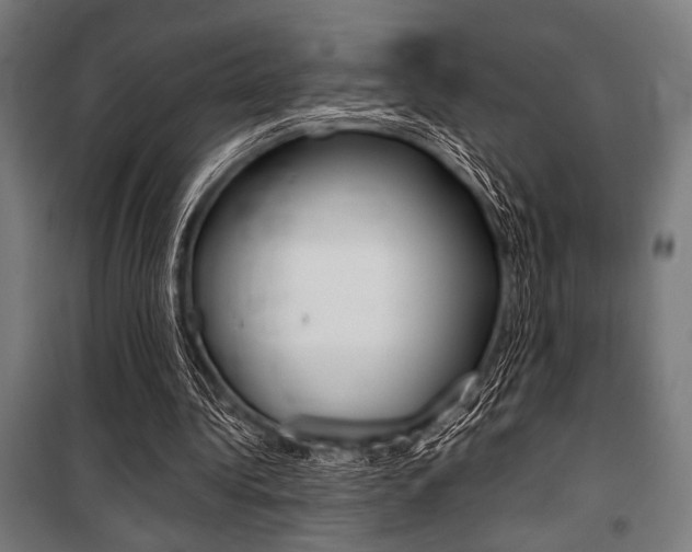 X0000100860340200806200843
