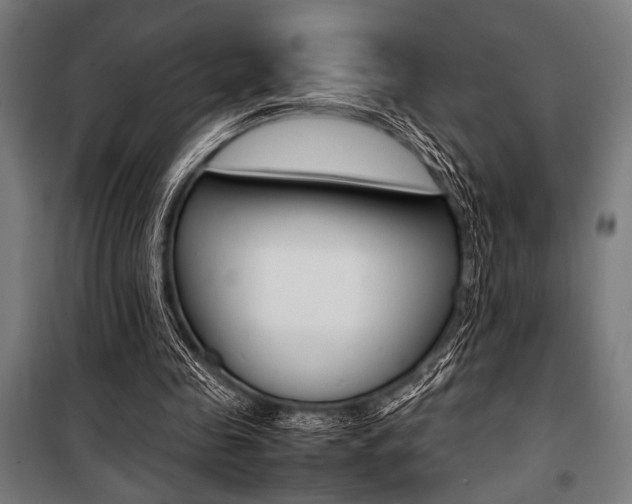 X0000100860341200806200843